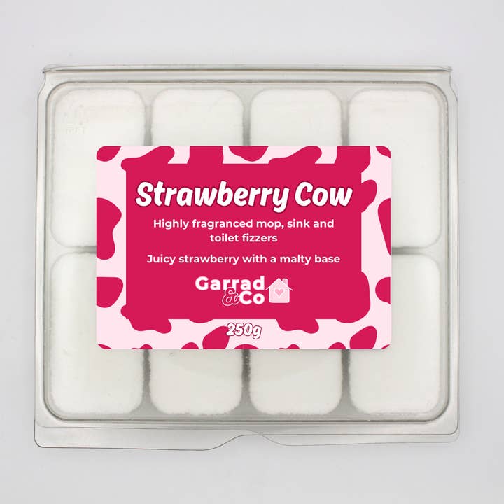 Garrad & Co - Wholesale Toilet Cleaner - Mop, sink and toilet fizzers3