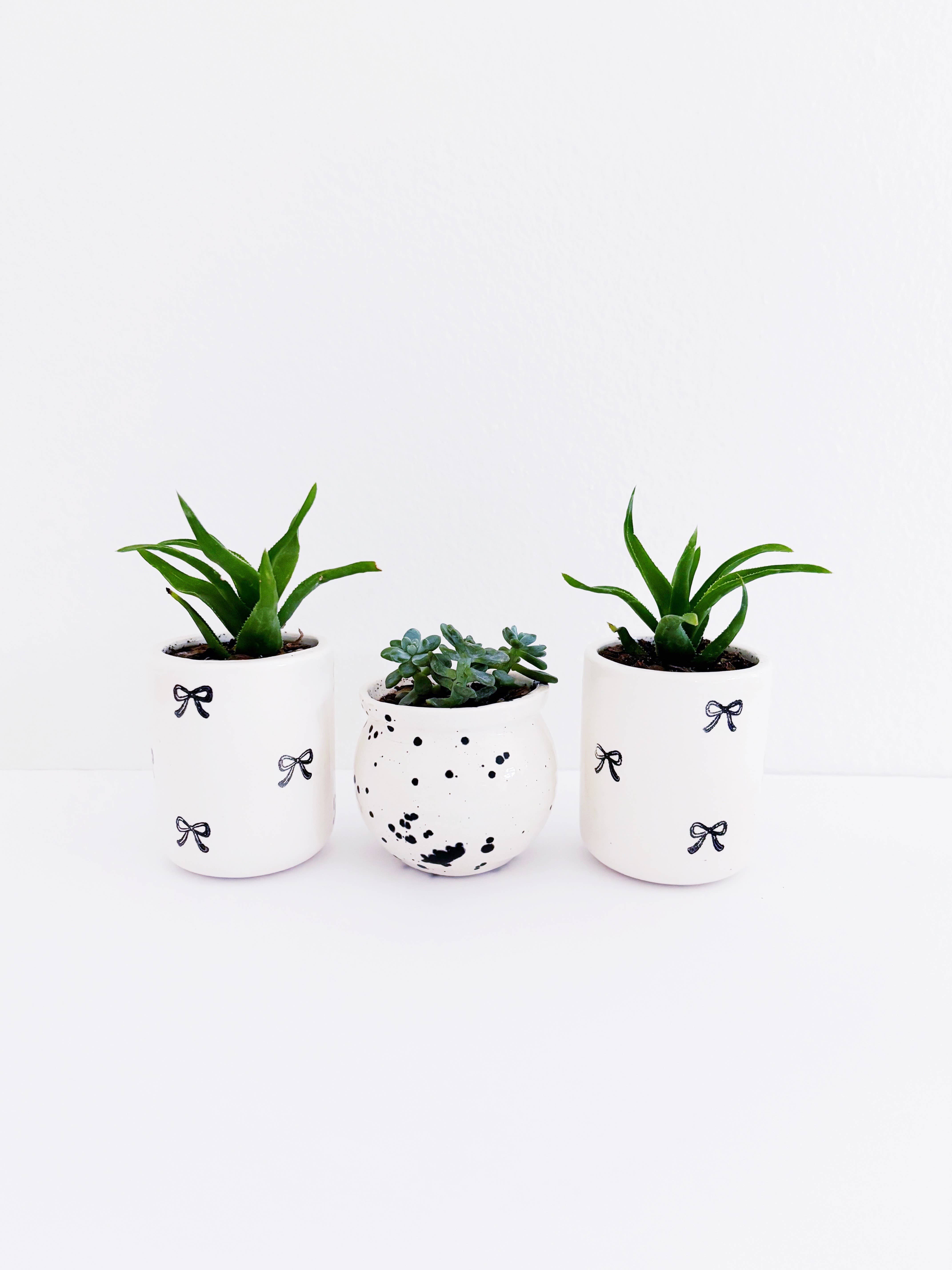 Luna Reece Ceramics - Wholesale Plant Pot - Mini Bows Organic Vessel2