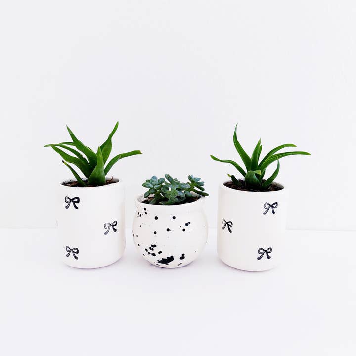 Luna Reece Ceramics - Wholesale Plant Pot - Mini Bows Organic Vessel2