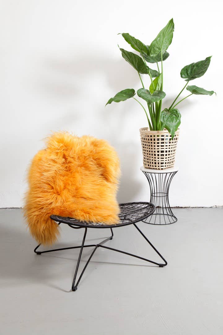 DYRESKINN® - Wholesale Area Rug - Sheepskin Icelandic yellow 90-110cm4