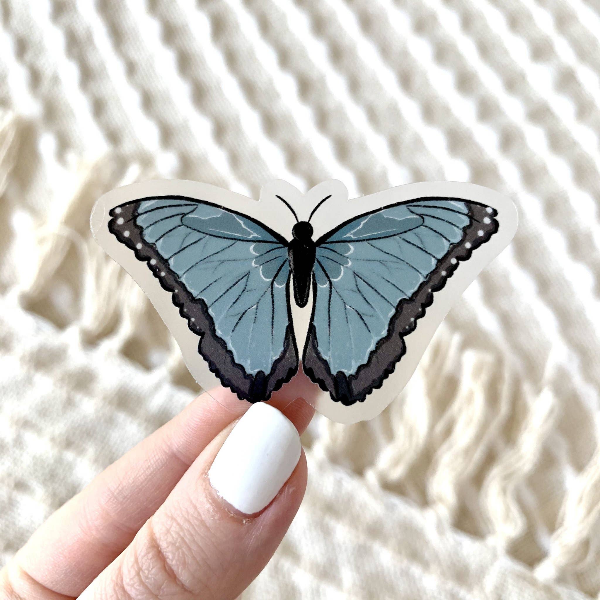 Elyse Breanne Design - Wholesale Sticker - Clear Common Blue Morpho Butterfly Sticker, 2.5x1.5in