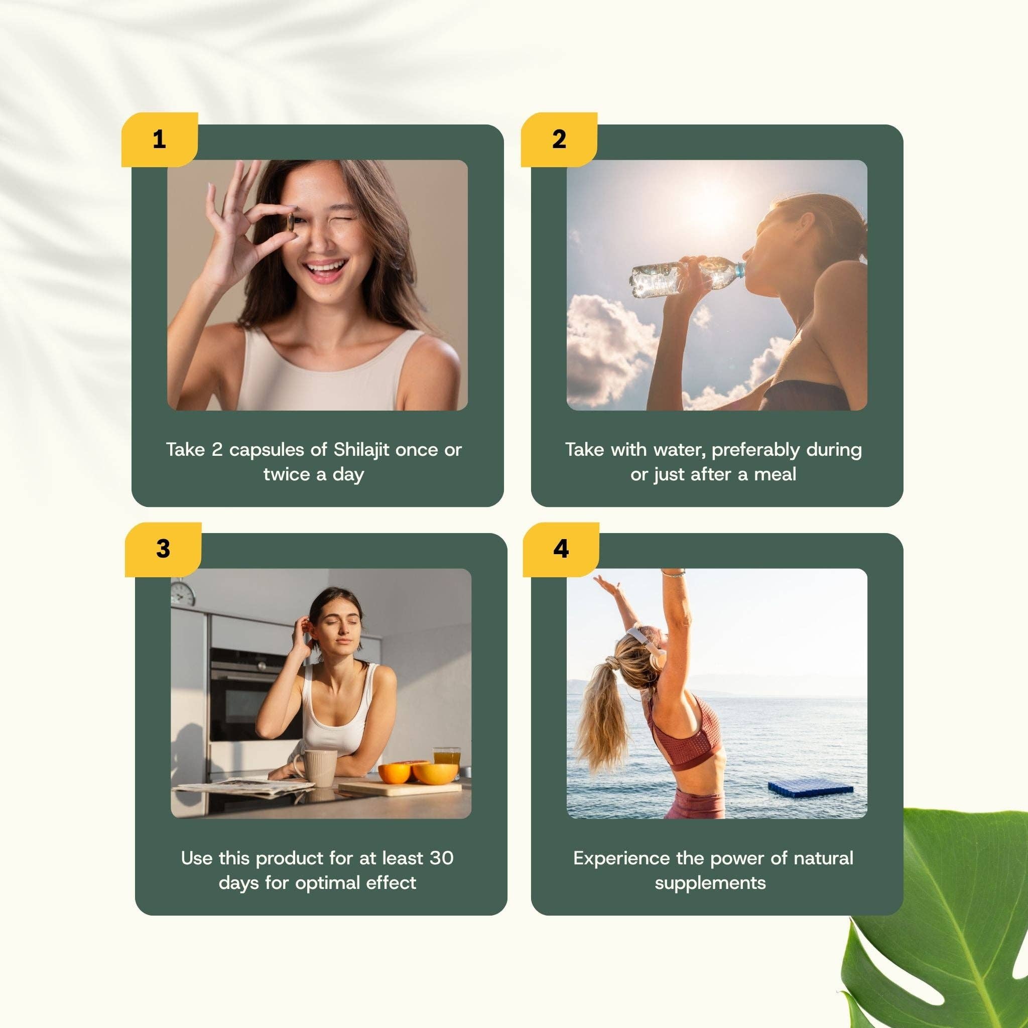 Cupplement b.v. – Suplemento/vitamina oral por atacado – Cápsulas de Extrato de Shilajit (5%) 500 mg 60 Cápsulas8