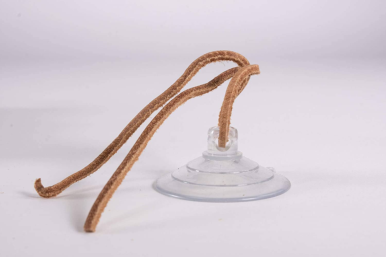 Penn-Plax - Wholesale Terrarium - Reptology Lizard Lounger – Extra Large5