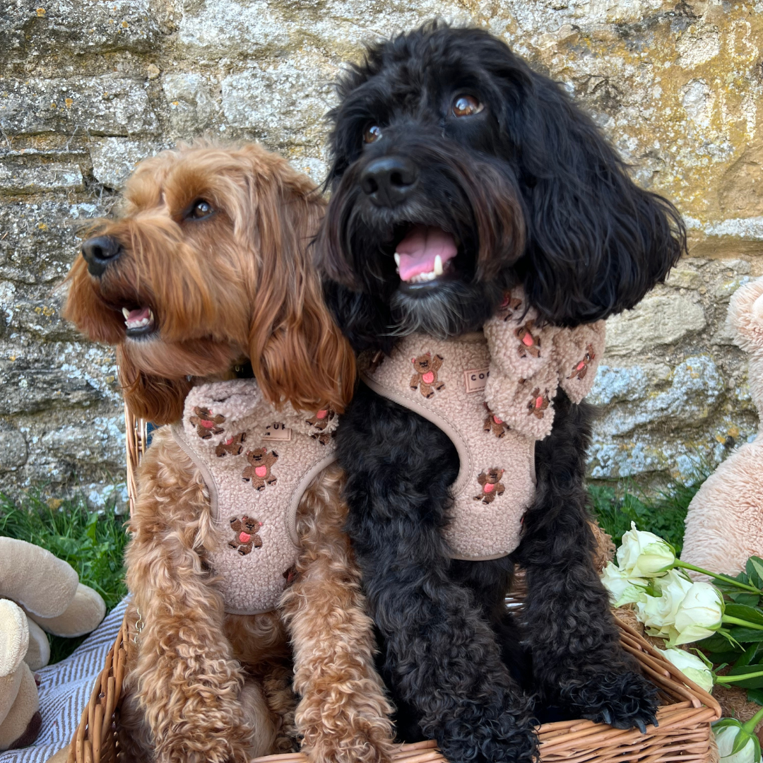 Cocopup London - Vente Harnais – chien - Harnais réglable pour chien avec oursons brodés Cocopup London13