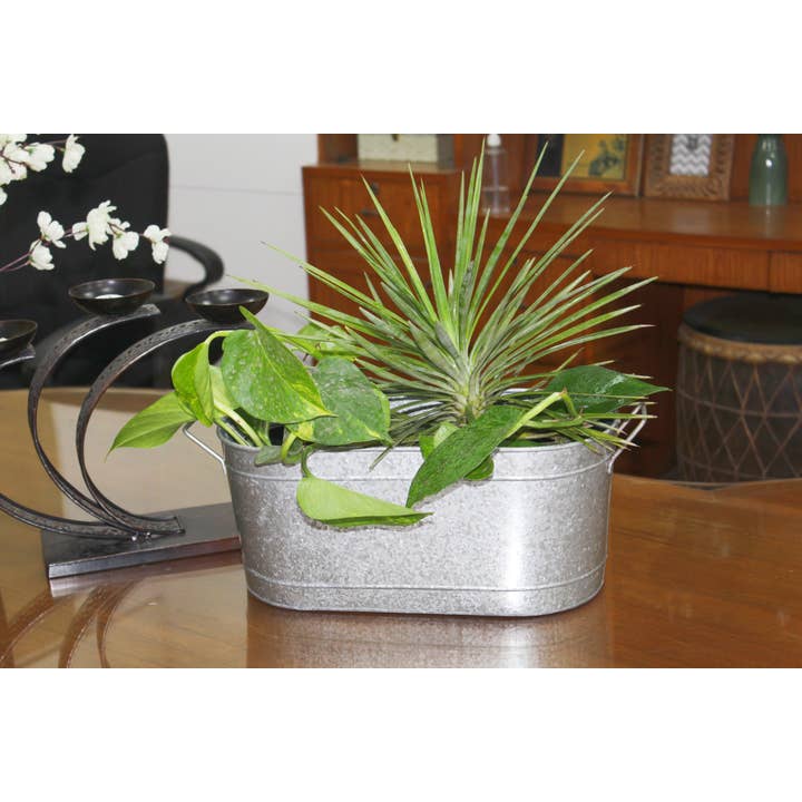 Hosley - Wholesale Plant Pot - Hosley® 18in L Oval Planter