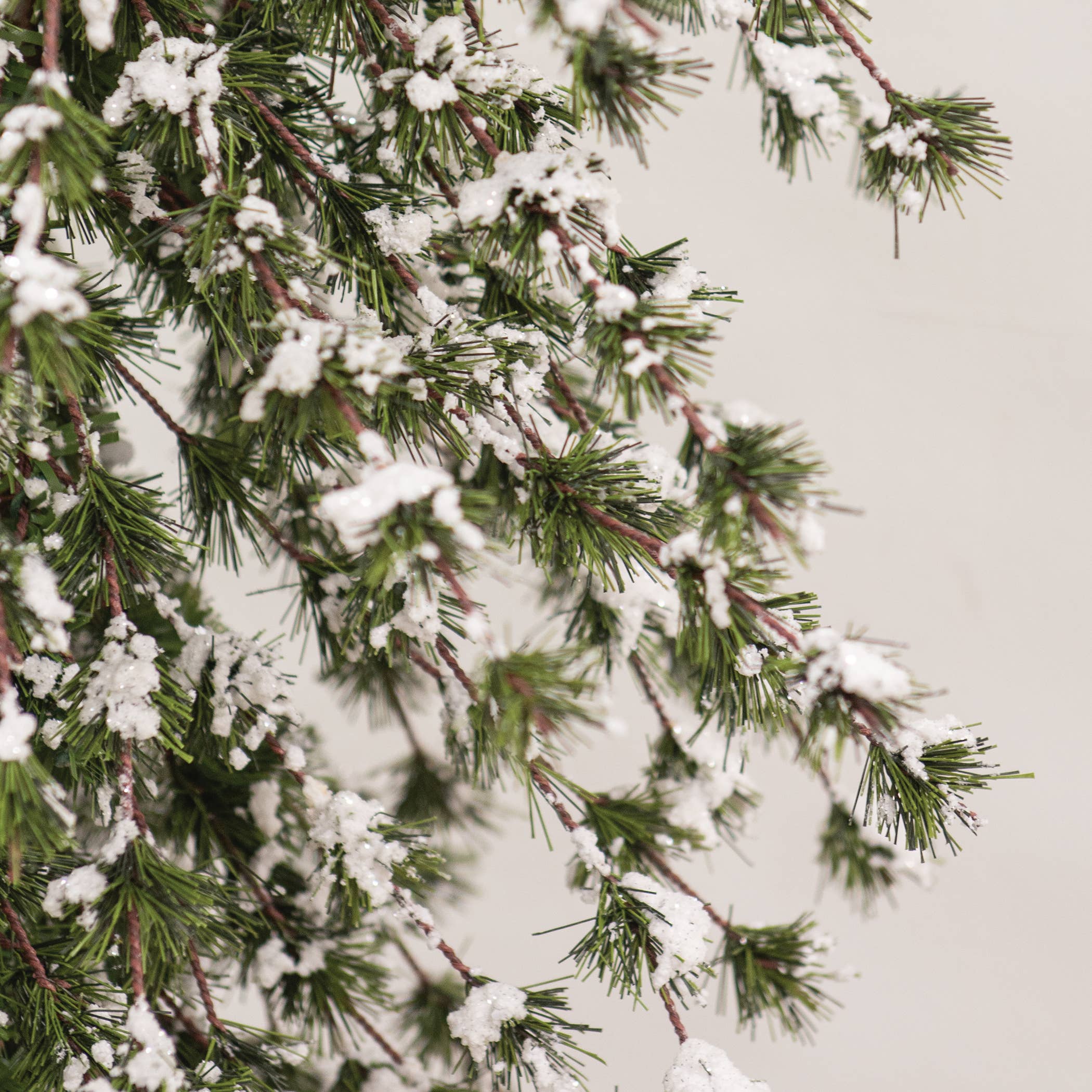 Saybrook Lane - Vendita all'ingrosso Alberi di Natale finti - Albero di Pino Mini Ming Innevato e Brillante con Base in Iuta - 1,8 m.2