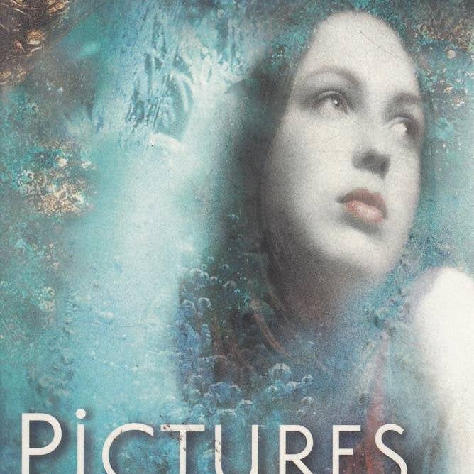 Boon Books – wholesale Teen and young adult book – Pictures of the Night by Adele Geras