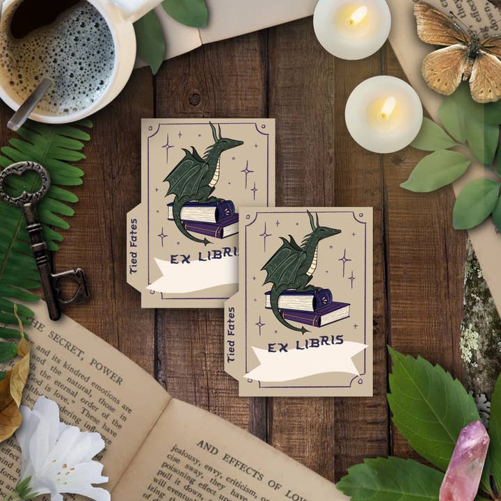 Autocollant pour plaque de livre Cozy Dragon pour la vente par Tied Fates