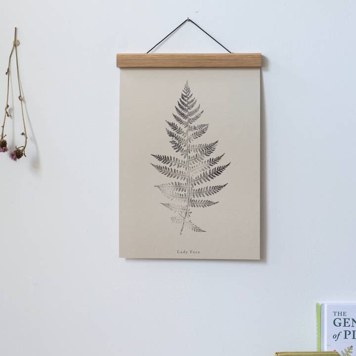 Alicia Breakspear - Wholesale Art Print - Fern Print - Botanical Art Print A5 A4 A3 Lady Fern 6