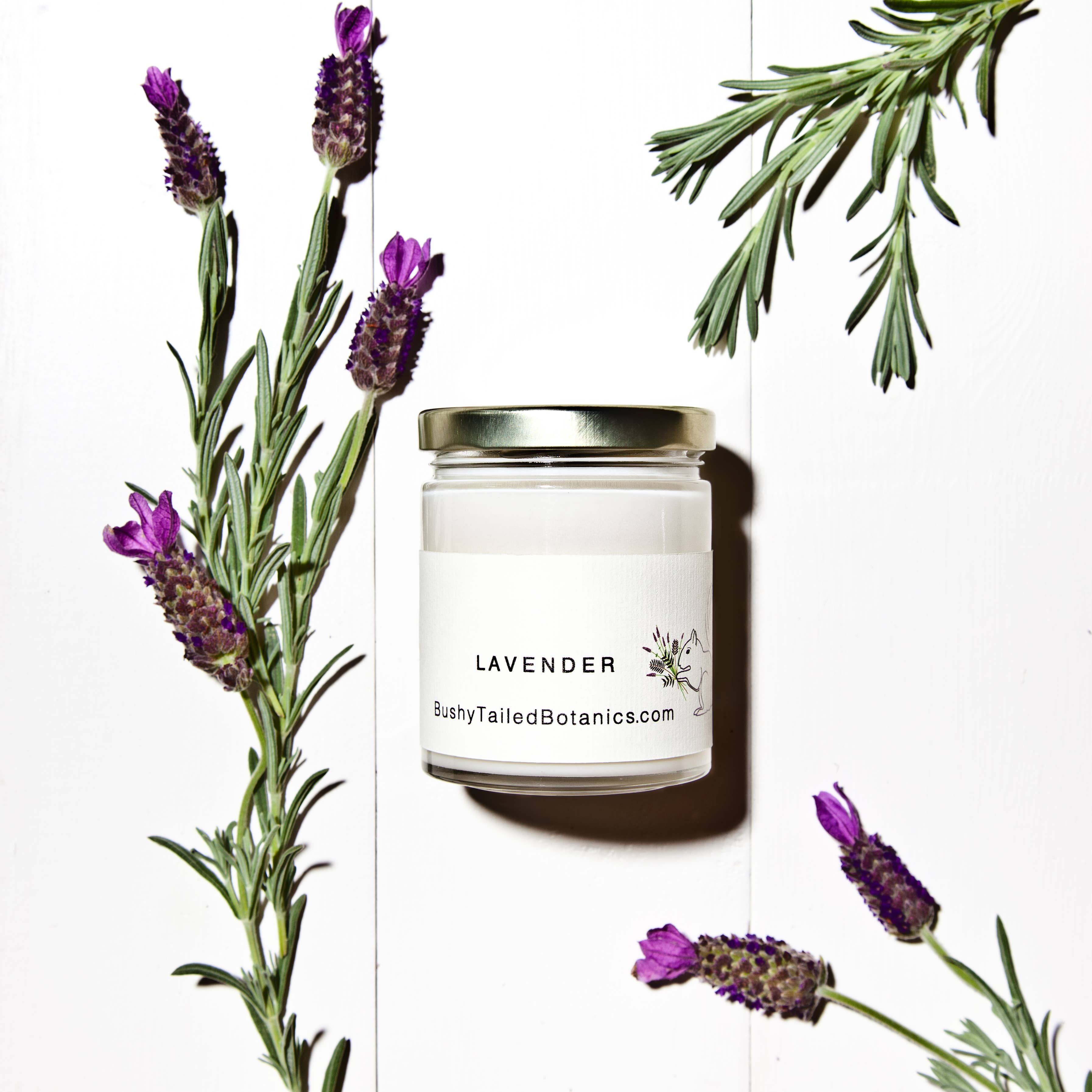 Bushy-Tailed Botanics - Wholesale Jar/Filled Candle - Lavender Soy Wax Candle0