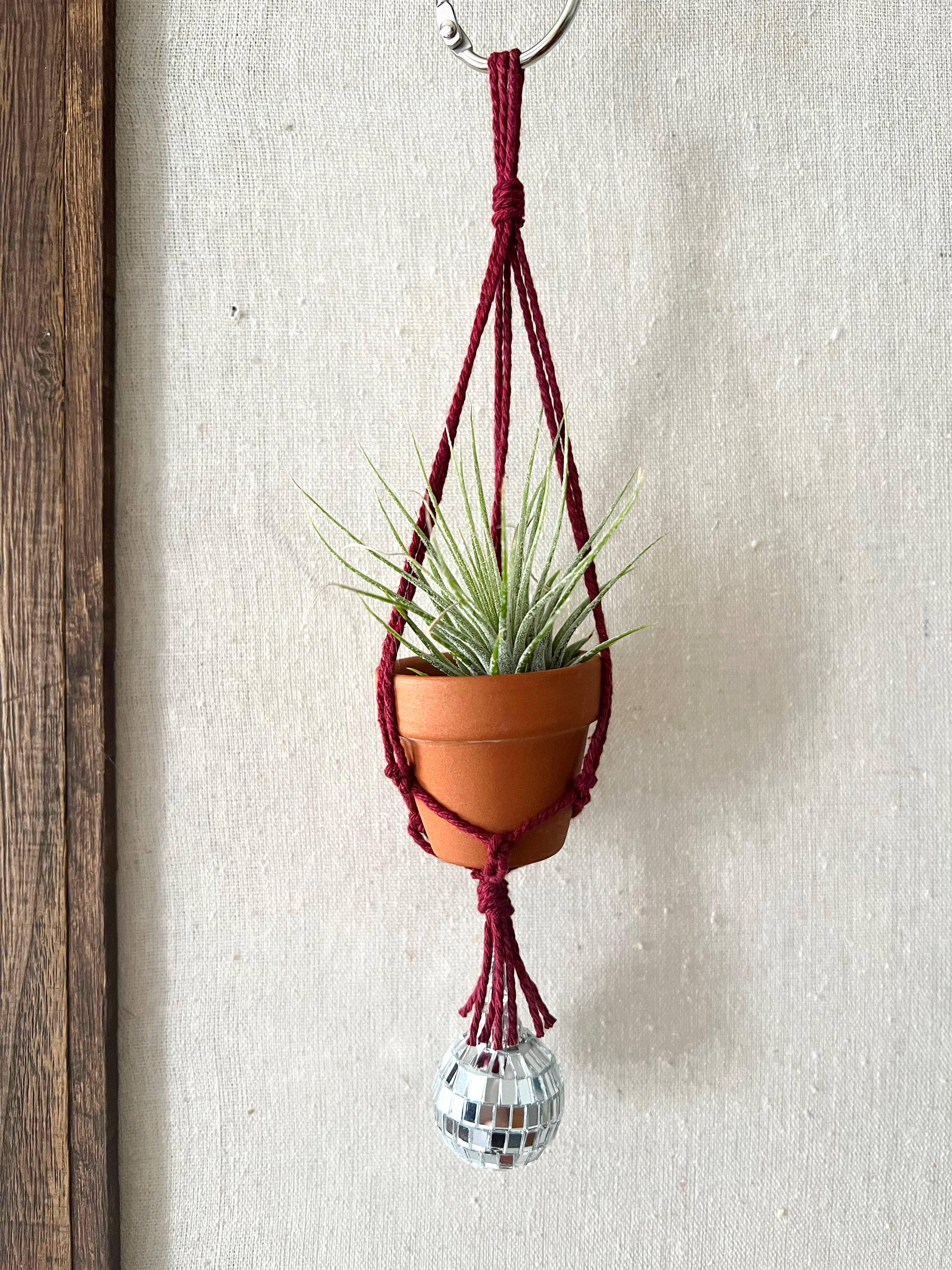 Dapper House Menagerie - Wholesale Hanging Planter - Pablo - Disco Air Plant Hanger with 1" Pot6
