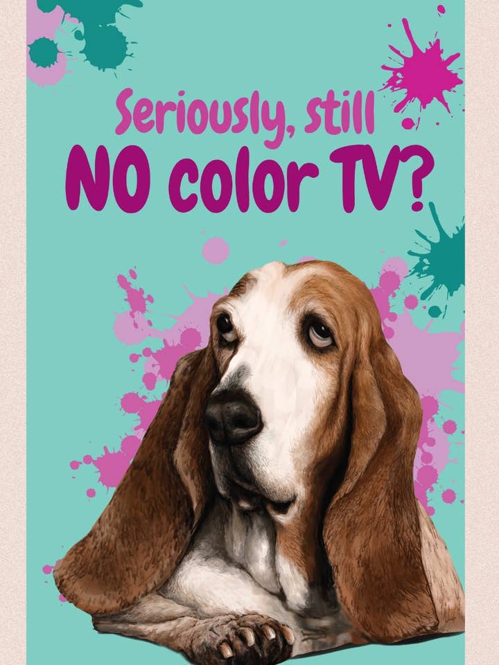 Kleurentelevisie - Basset Hound voor wholesale door purrPETuallove