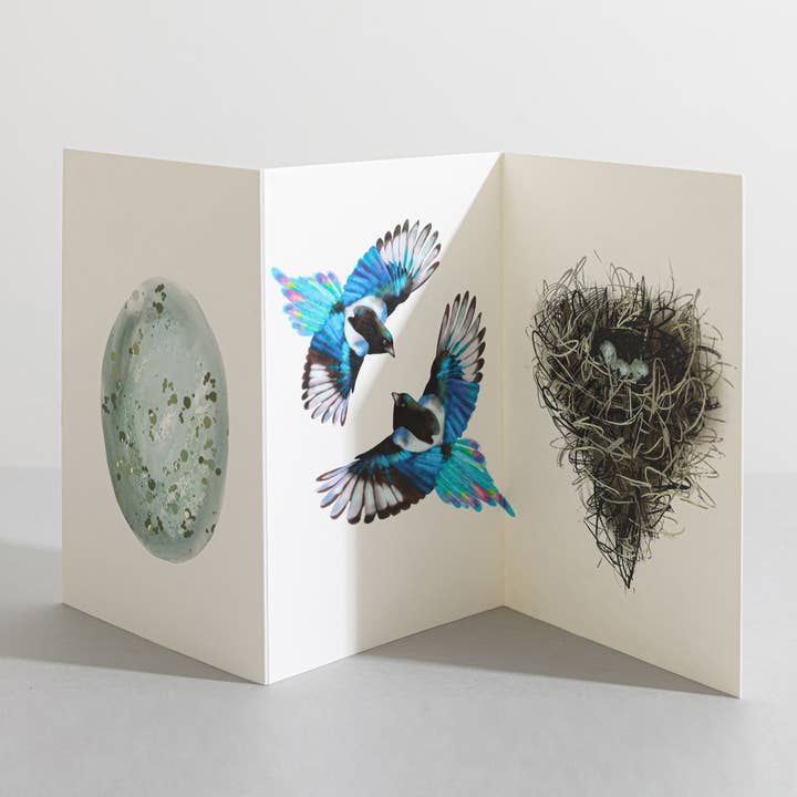 Tarjeta de concertina Magpie Bird Nature Lover para venta al por mayor de Sara Sayer