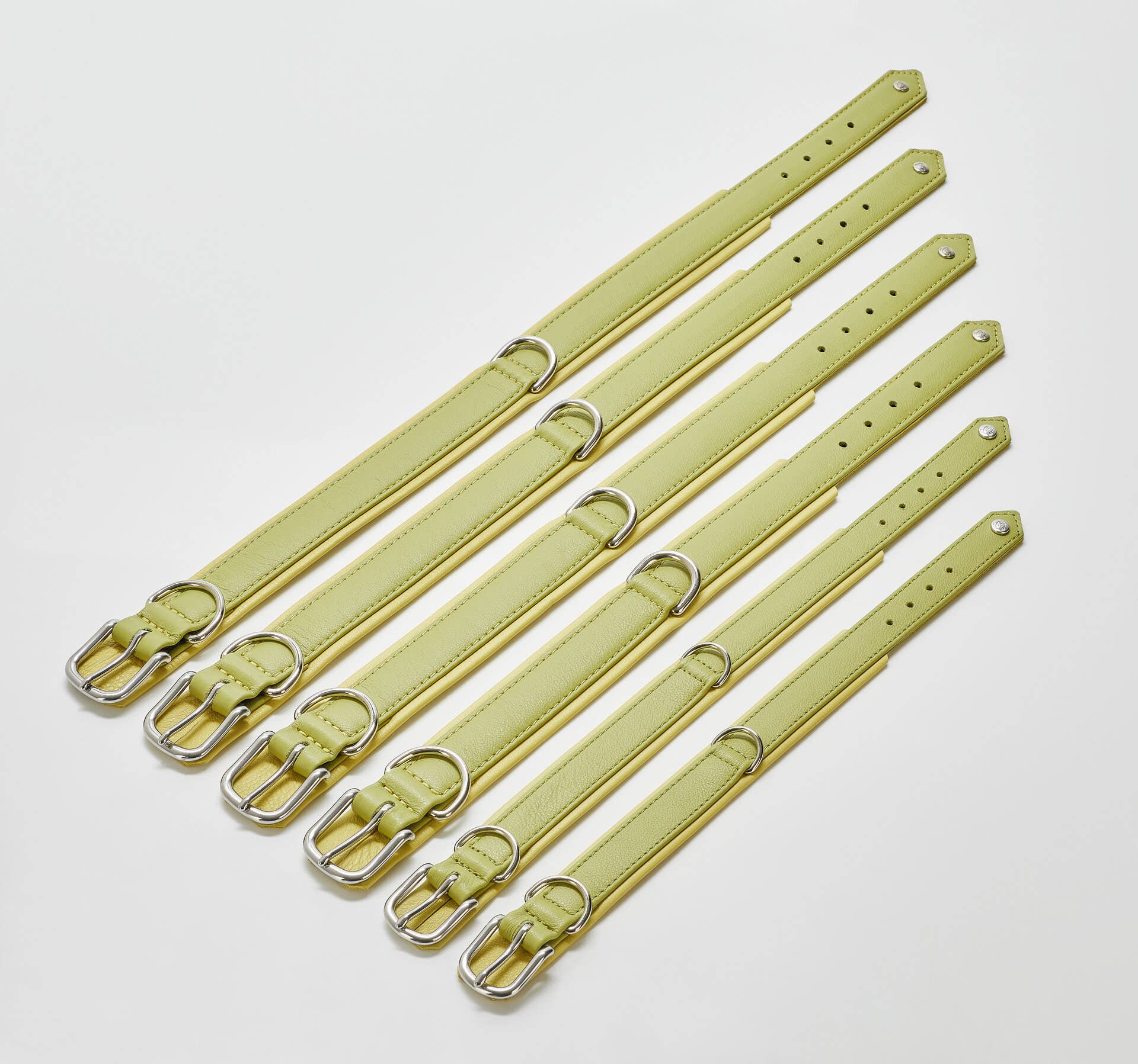 LABONI - Volentis GmbH - Wholesale Pet Collar - Dog - AMICI dog collar2