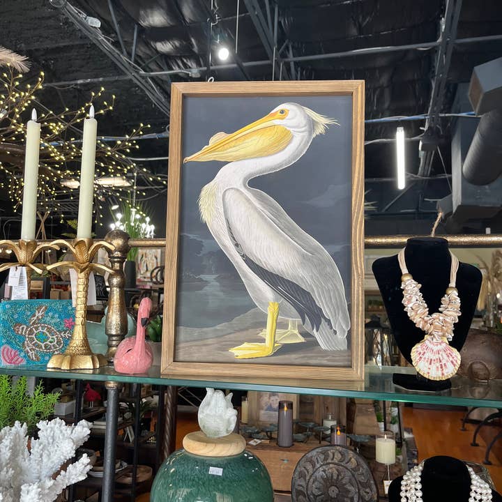 Hangout Home – wholesale Konsttryck – Audubon Pelican - Lake House Väggkonst - Inramat konsttryck3