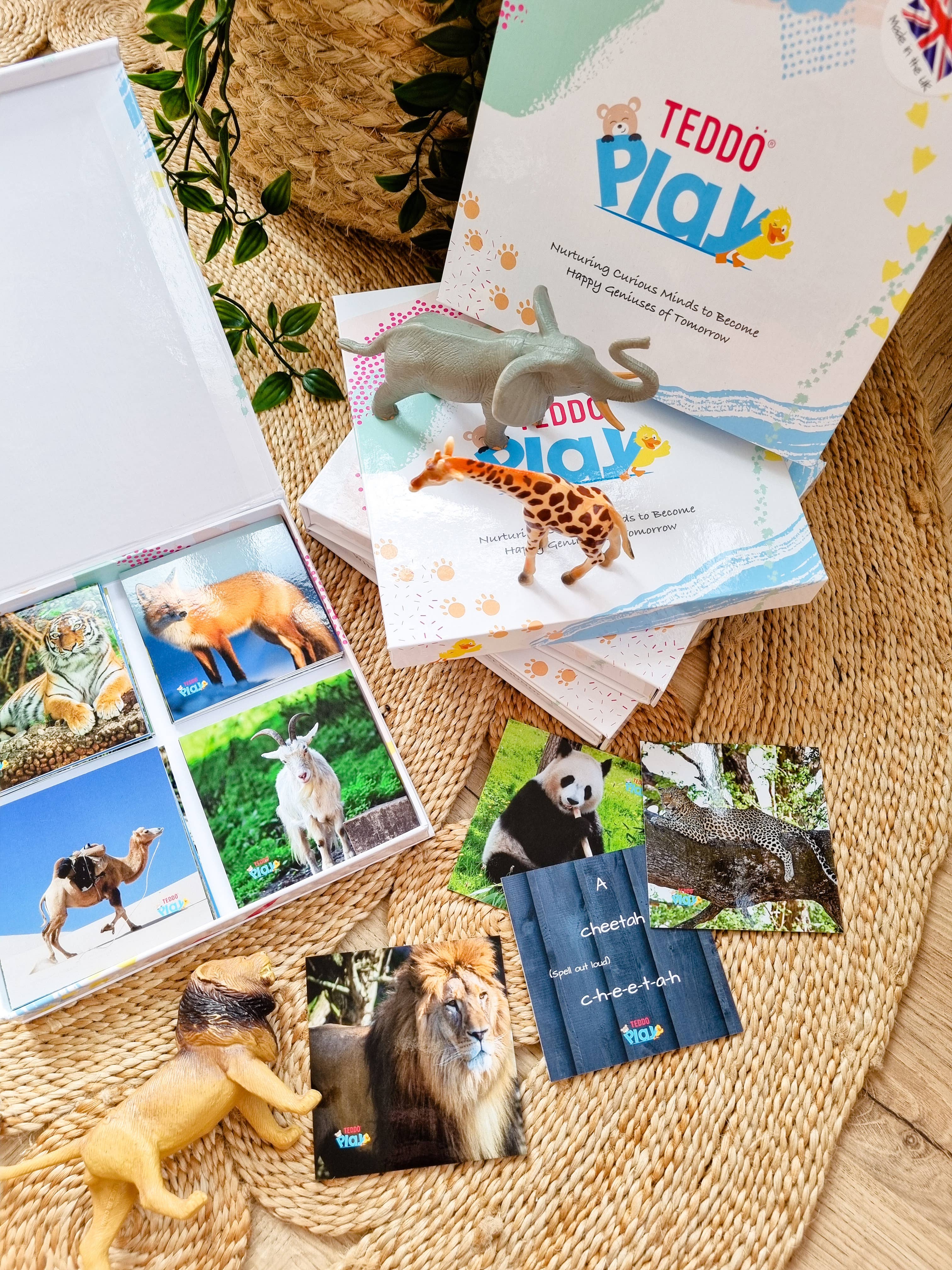 Teddo Play – Großhandel Lernkarten – Kind & Baby – Multi-Bundle mit 13 Lernsets Lernspiele für Kinder14