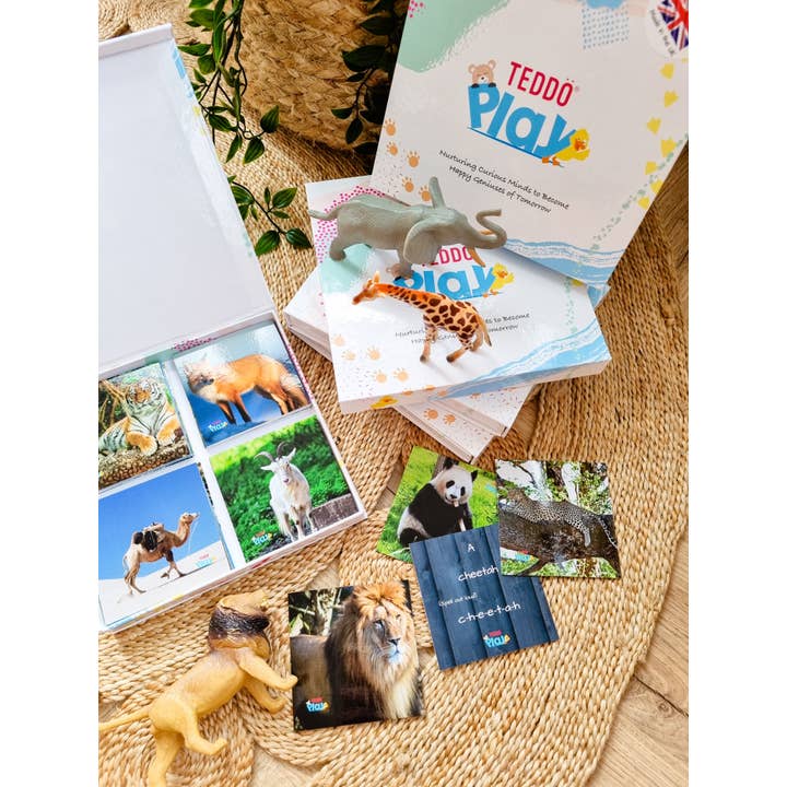 Teddo Play – Großhandel Lernkarten – Kind & Baby – Multi-Bundle mit 13 Lernsets Lernspiele für Kinder14