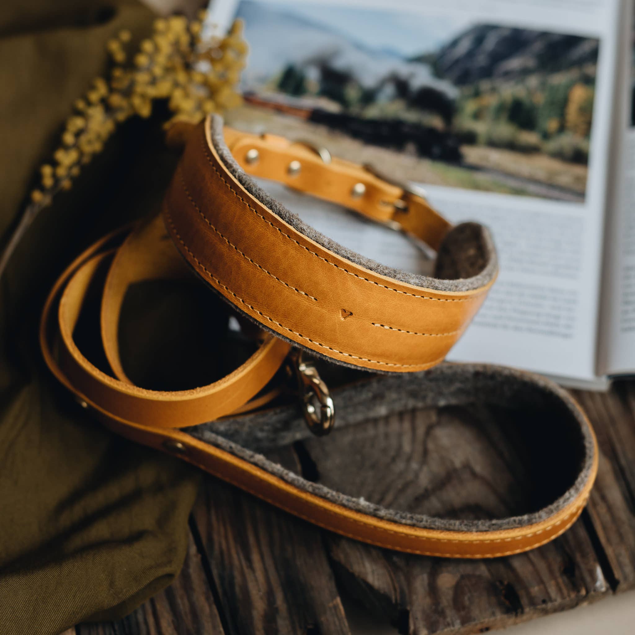 BAND&ROLL – wholesale Pet collar – Dog – Wool Padded Wide Dog Collar. Pine33