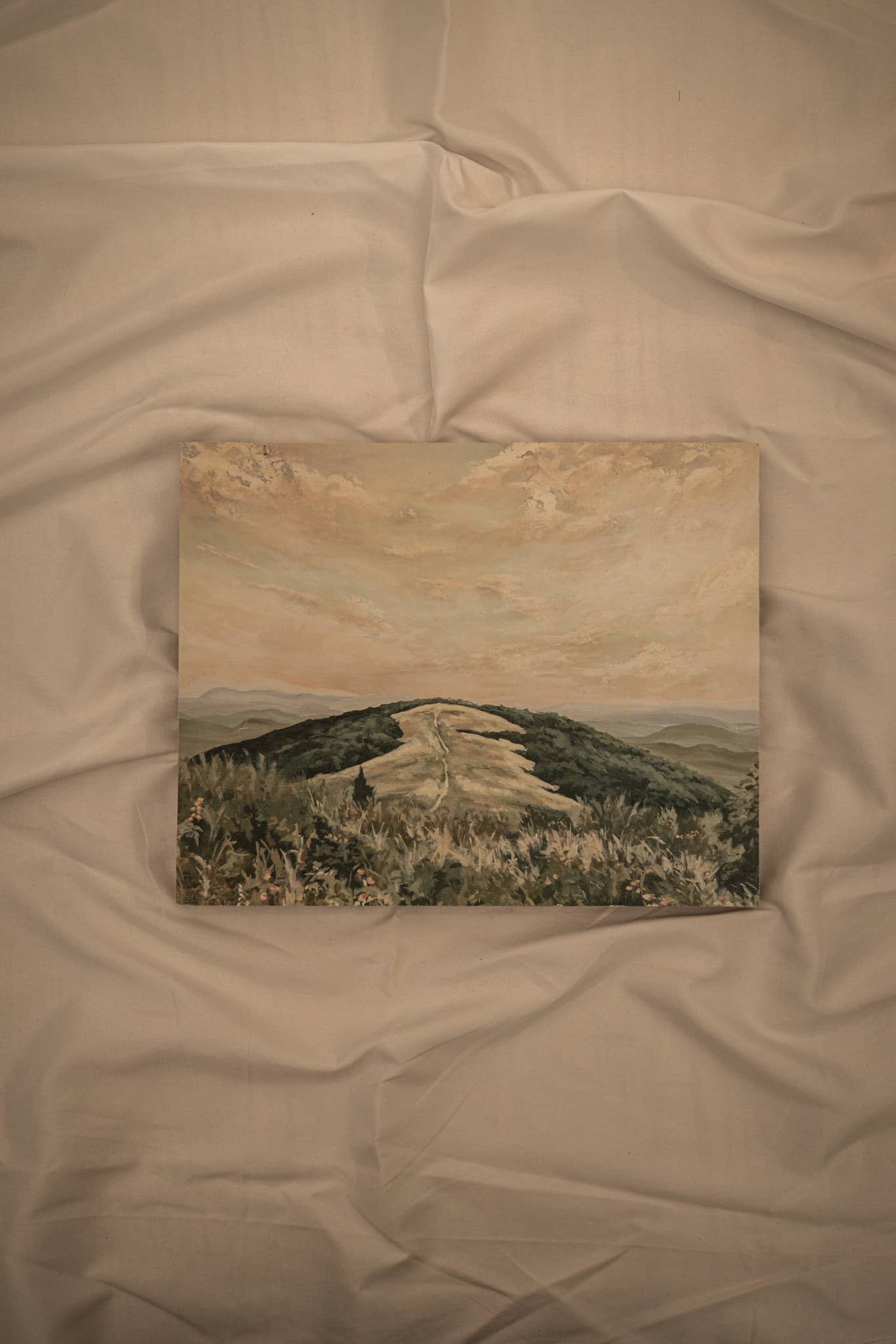 Lewa Studio - Wholesale Art Print - "A Walk to the Top" Fine Art Giclée Canvas Panel 6