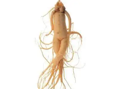 Astraphytos - Phytomars - Wholesale Voedingssupplement/vitamine - Panax Ginseng biologische Astraphytos ampullen1