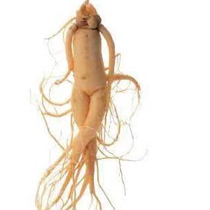 Astraphytos - Phytomars - Wholesale Voedingssupplement/vitamine - Panax Ginseng biologische Astraphytos ampullen1