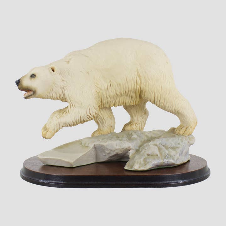 Ours polaire pour la vente par Grays 1922