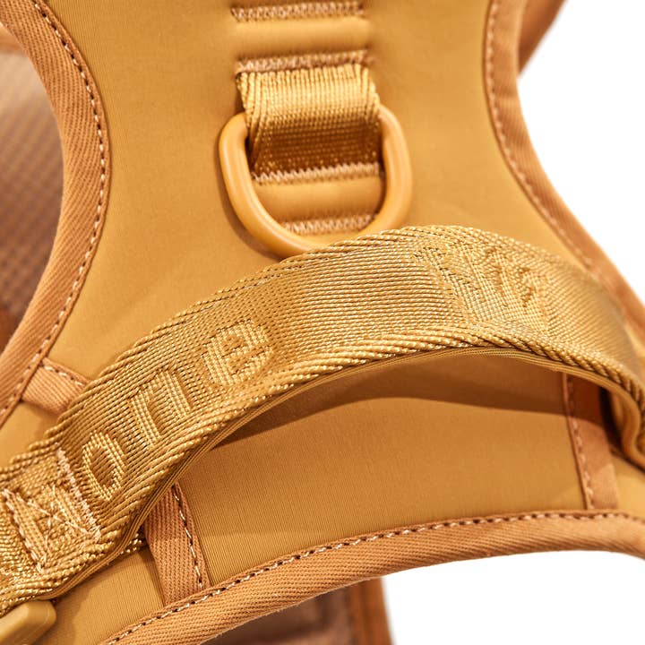 ARISTOPET - Wholesale Pet Harness - Dog - EASY FIT HARNESS13