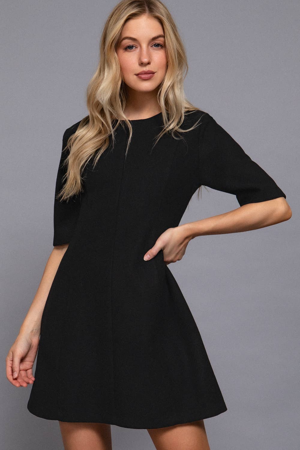 IVY cream  ..0925 Short Sleeve A Line Felt Mini Dress SI-28837 for wholesale on Faire5