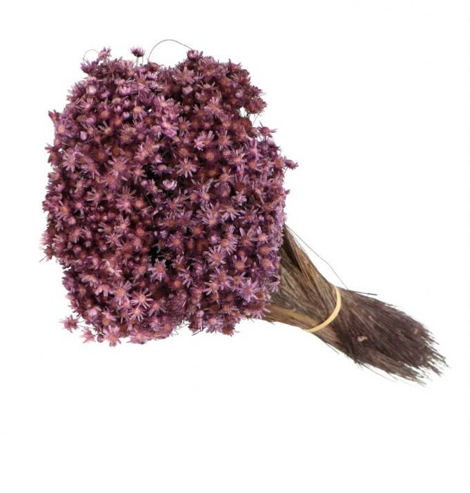 .AVPV. Studio - Wholesale Artificial Flowers - Glixia mini star flowers14