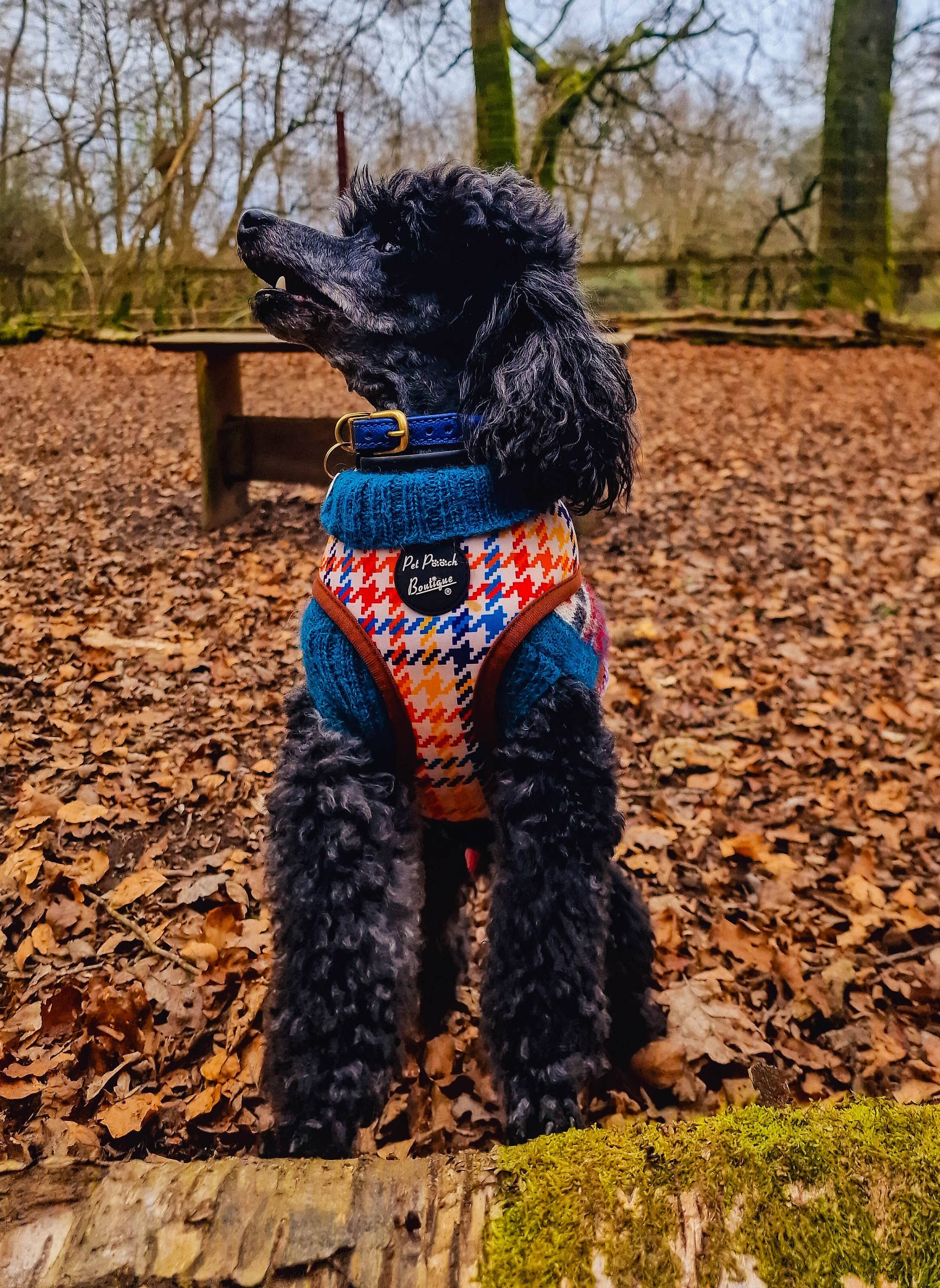 Pet Pooch Boutique - Wholesale Pet Harness - Dog - Lionheart Houndstooth Dog Harness (autumn/dogtooth/brown)8