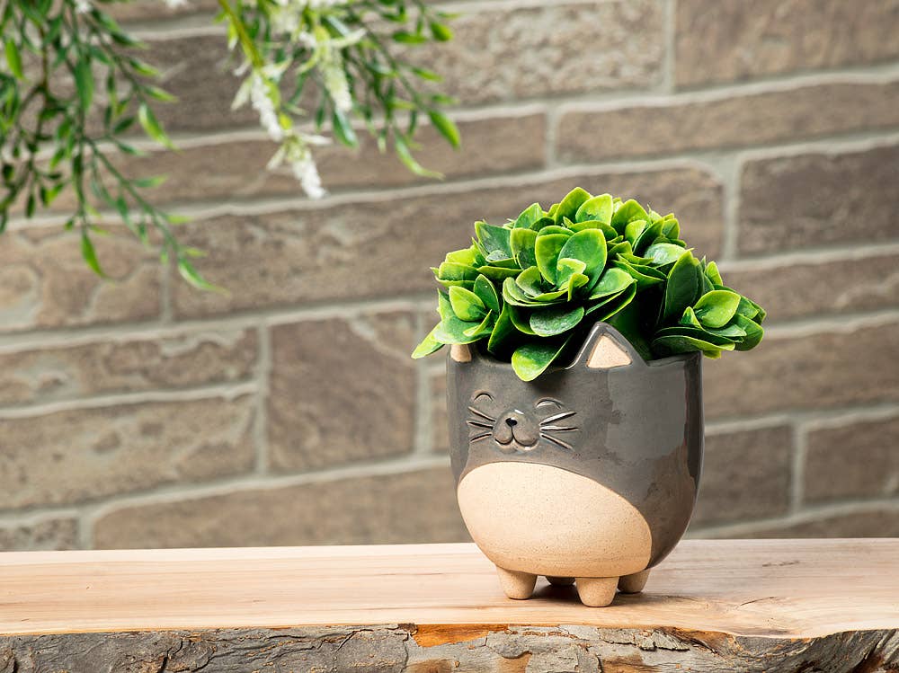 Abbott – wholesale Plant pot – Lg Cat on Legs Planter-5"H-8711
