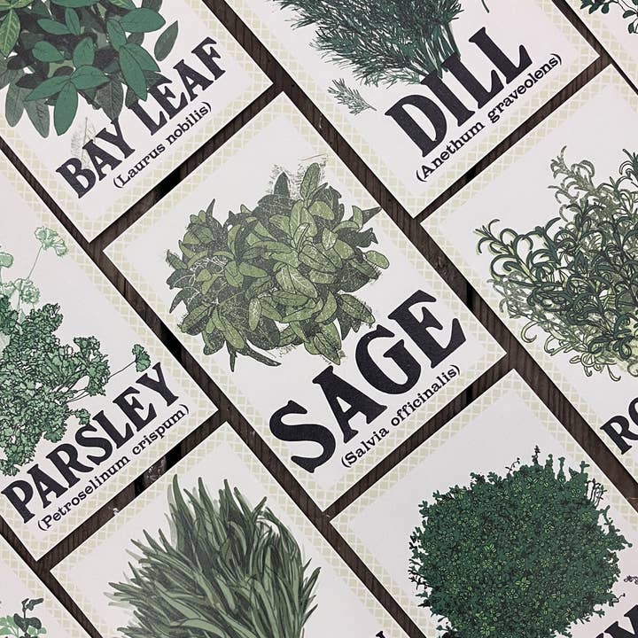 Jo Stafford – wholesale Everyday greeting card – Tarragon 127 x 177mm Portrait Greetings Card3