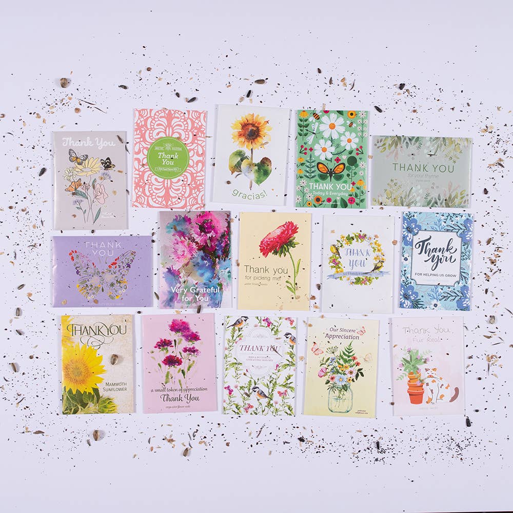 Bentley Seed Co. - Wholesale Thank You Card - Thank You - Mammoth Sunflower7