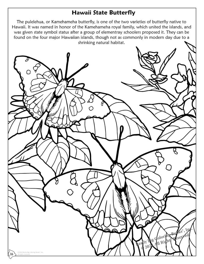 Really Big Coloring Books | ColoringBook.com - Wholesale Coloring & Activity Book - Kids & Baby - Hawaii State Coloring Book 8.5 x 113