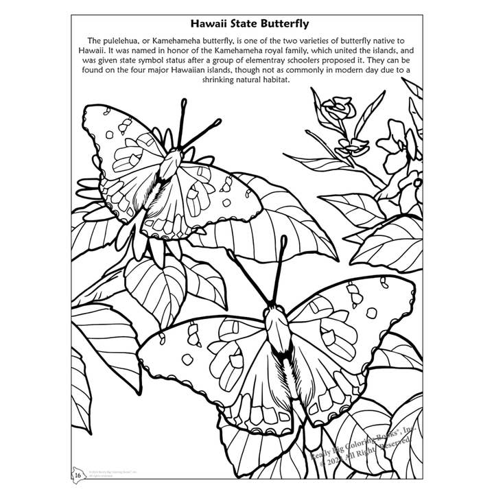 Really Big Coloring Books | ColoringBook.com - Wholesale Coloring & Activity Book - Kids & Baby - Hawaii State Coloring Book 8.5 x 113