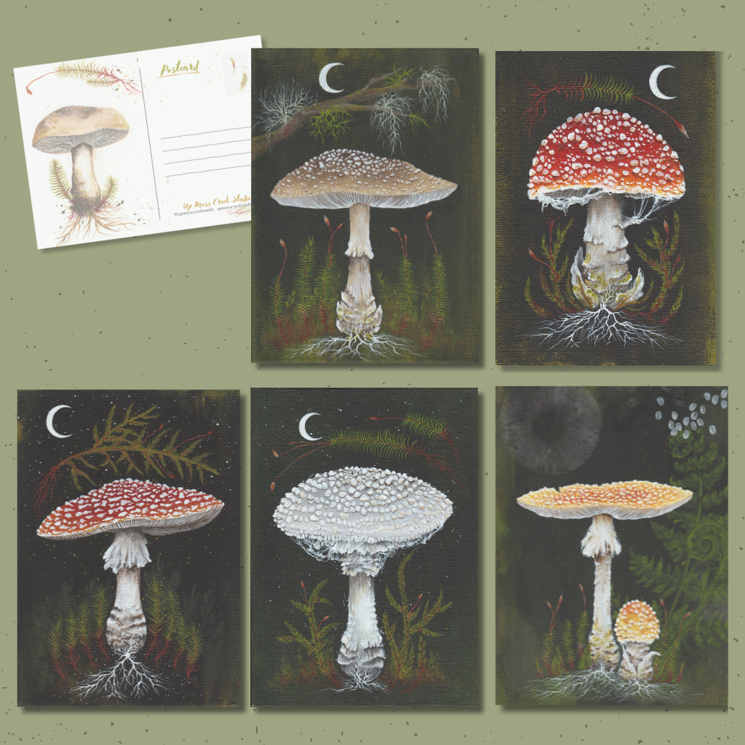 Up Moss Creek Studio - Wholesale Postcard Set - Amanita Mushroom Postcard Set2