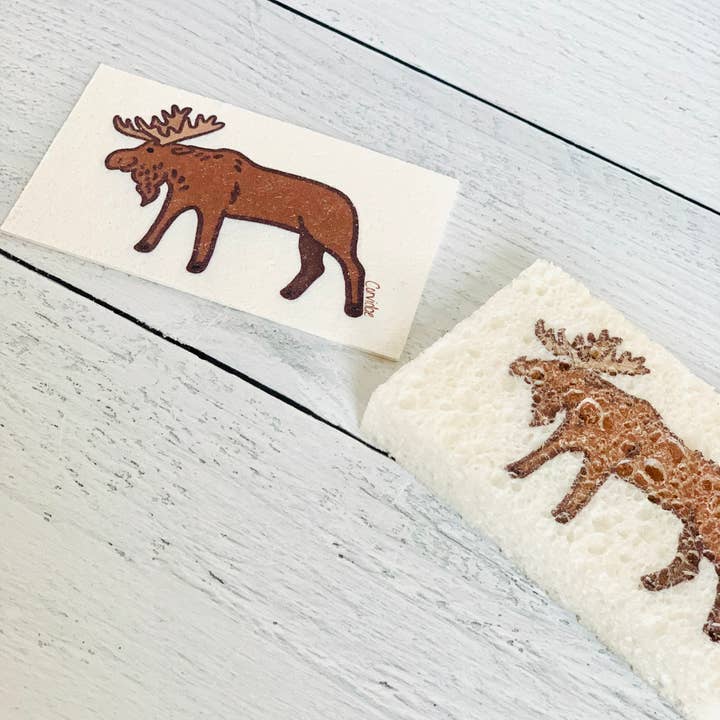 Corvidae drawings & designs - Vendita all'ingrosso Spugnetta per pulire - Spugna pop-up compostabile Bear Moose Bison - set di 38