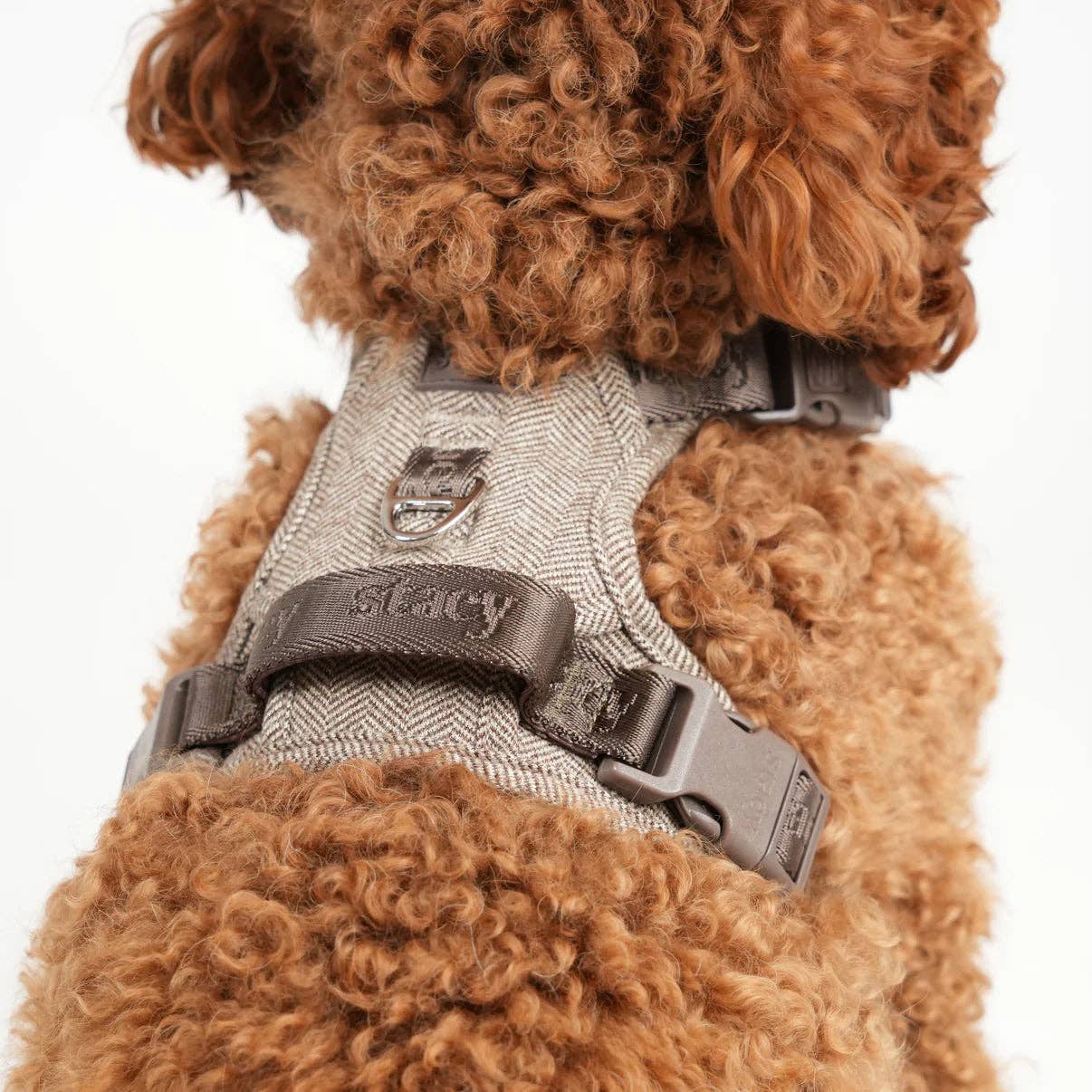 Staey - Wholesale Pet Harness - Dog - Elma Dog Harness | Mocha3
