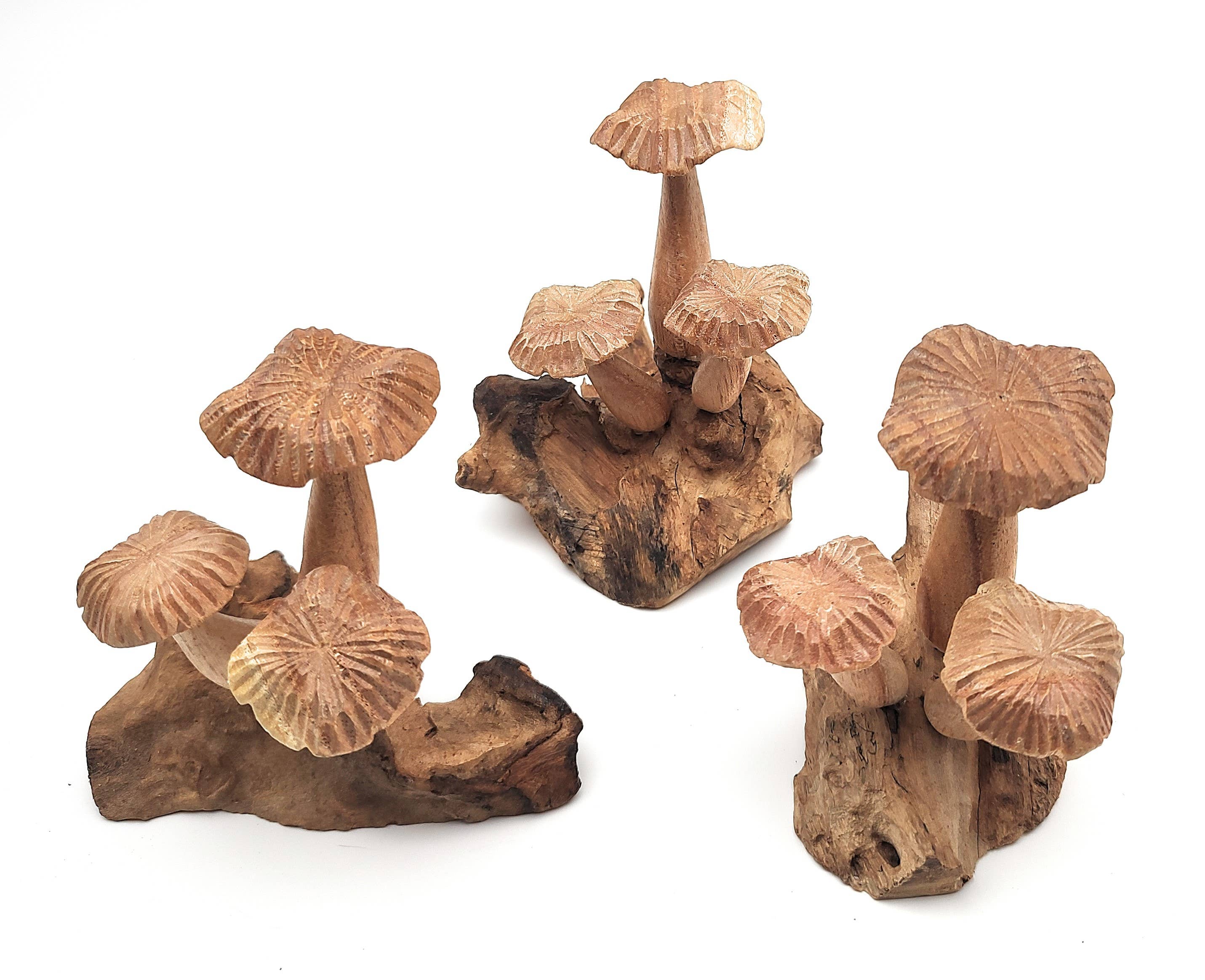 OTOP USA – Engroshandel Bordpynt – Blomstersvamp Lille4