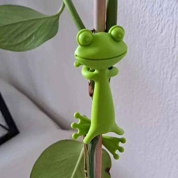 Moderny - Wholesale Plant Pot Stand - Frog Plant Stand3