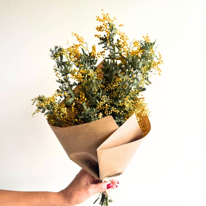 Dried Flower Mimosa Acacia Bunch for wholesale by House of Lilac
