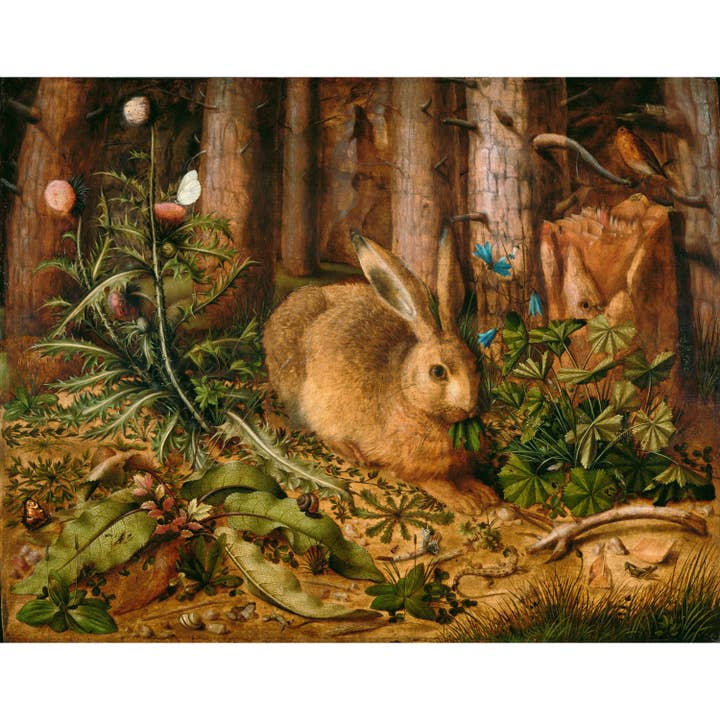 Rock Paper Scissors Wall Art - Wholesale Art Print - Woodland animal art | A Hare in the Forest | Enchanted forest | Vintage nature wall art | Rabbit, flowers, butterfly, bird, snail, lizard