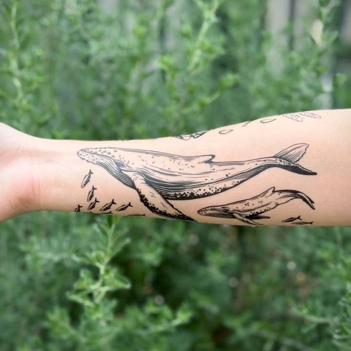 NatureTats - Wholesale Temporary Tattoo - Blue Whale Temporary Tattoo