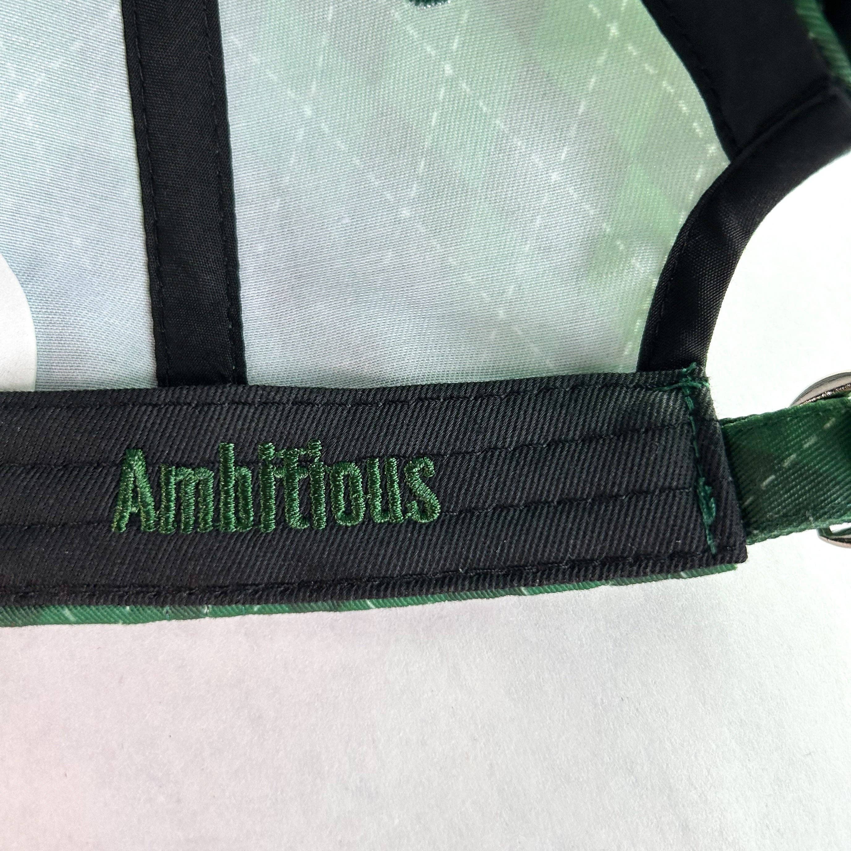 Red Sprite Hats - Wholesale Baseball Cap - Women's - Magical Baseball Caps + Detachable Bows, Hidden Ponytail Hat18