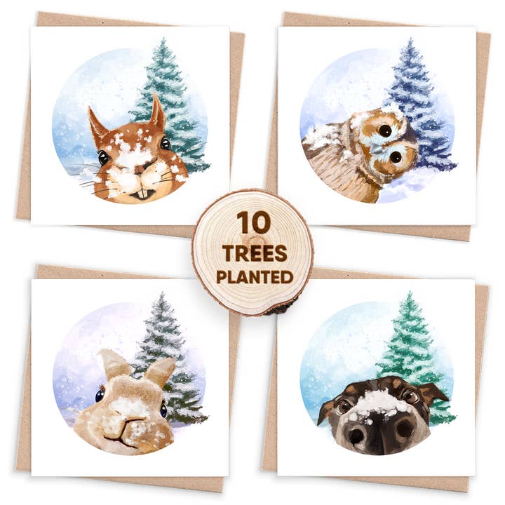 Eco Christmas Card Box & Bee Friendly Seed Gift. Photobomb for wholesale by 1 Tree Cards