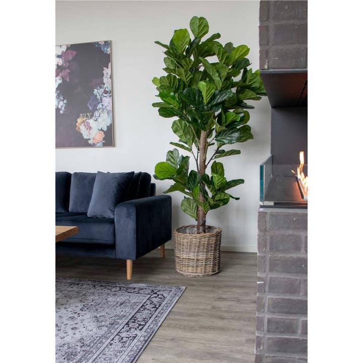Fiol Leaf Tree - Konstgjord växt 190 cm och andra Köp konstgjorda växter wholesale. Gratis returer och 60 dagar netto på Faire som trendar på Faire.