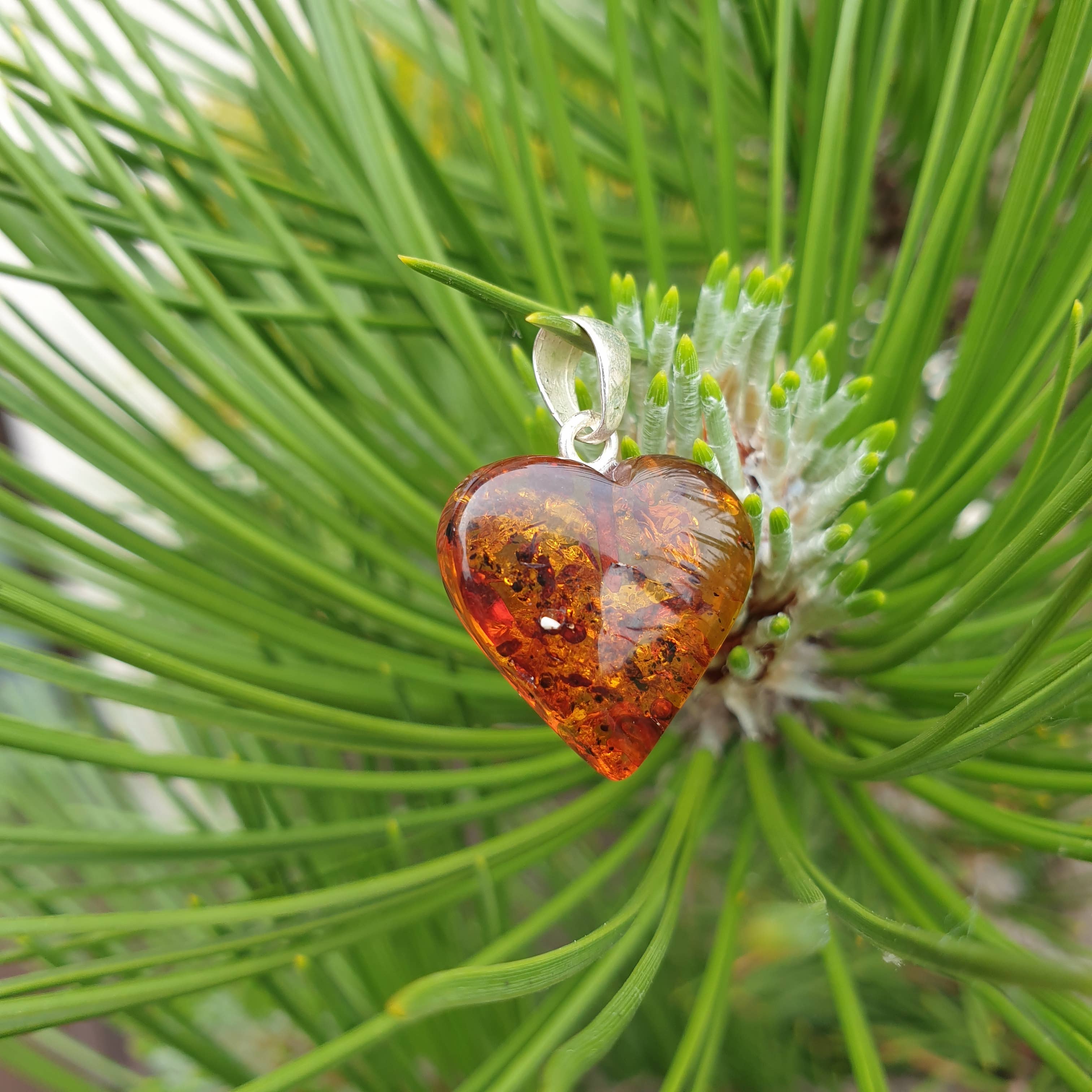 AmberLithuania - Wholesale Pendant/Charm Necklace - Gemstone pendant Crystal Necklace Real Baltic Amber Heart4