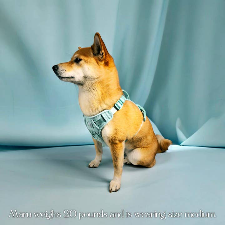 Wolfdoge – wholesale Pet harness – Dog – Wolfdoge Signature Harness7