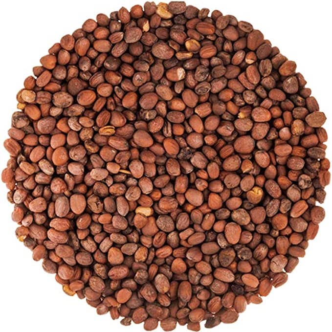 Food To Live - Wholesale Plant Seeds - Organic Radish Seeds for Sprouting – Edible Seeds, Pure