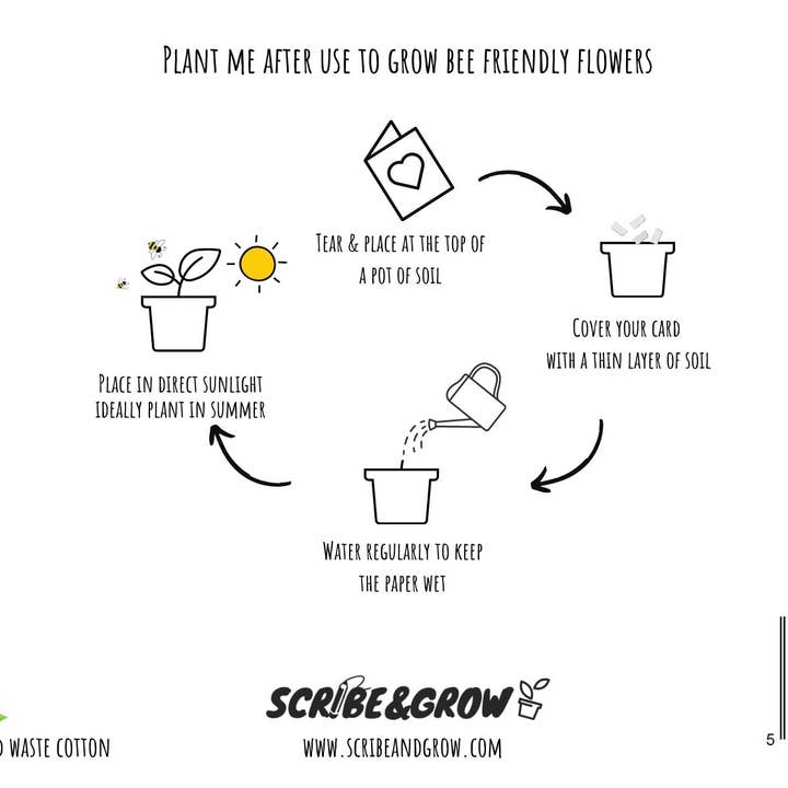 Scribe & Grow - Wholesale Birthday Card - Plantable Greeting Card - Happy Birthday1